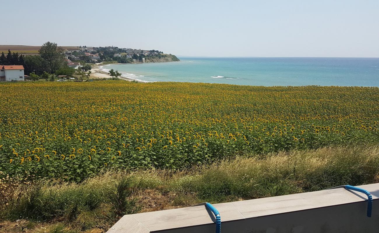 Hurriyet beach'in fotoğrafı bej kum ve çakıl yüzey ile