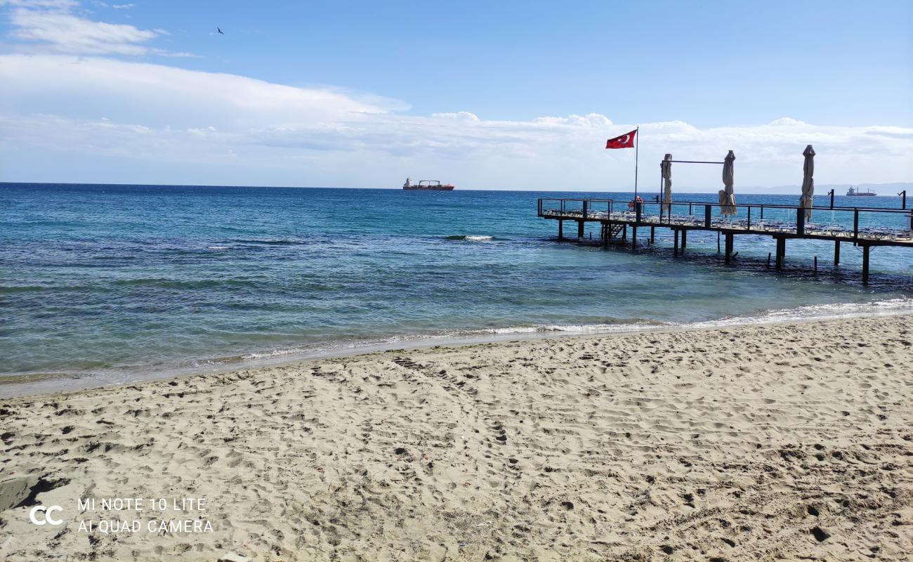 Altınova Plajı'in fotoğrafı açık bej kum yüzey ile