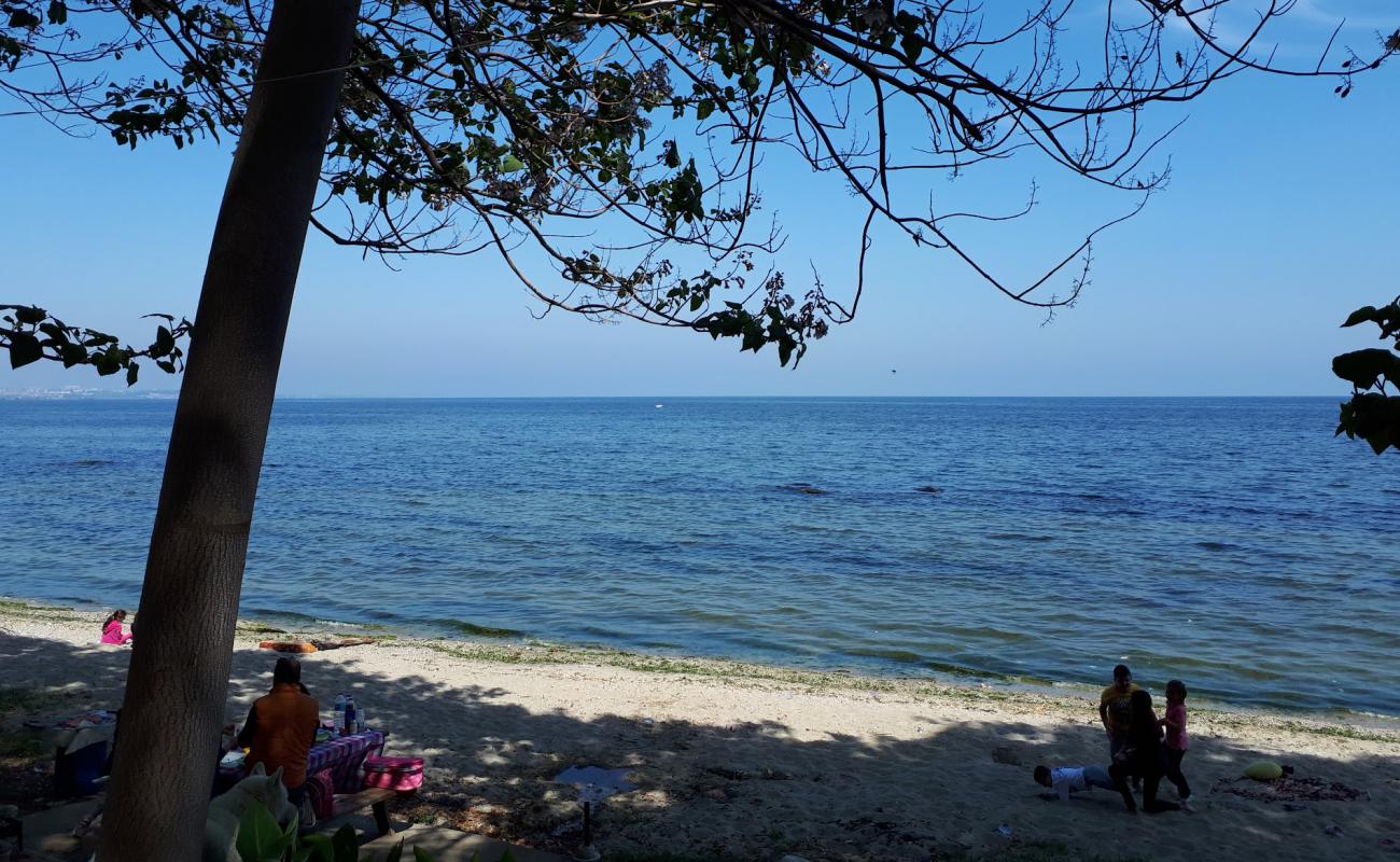 Topagac beach'in fotoğrafı parlak kum yüzey ile