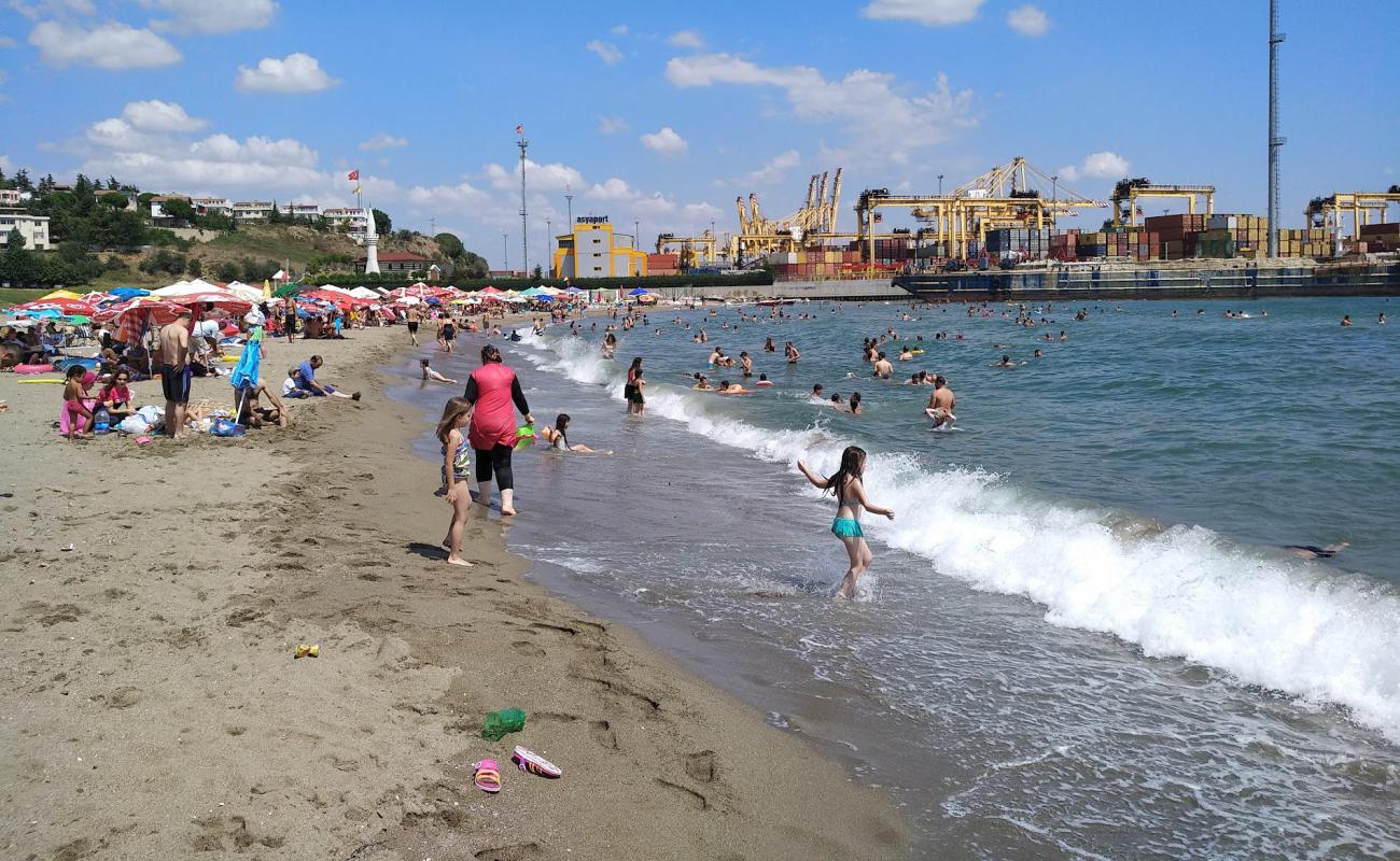 Guldal Container beach'in fotoğrafı kahverengi kum yüzey ile