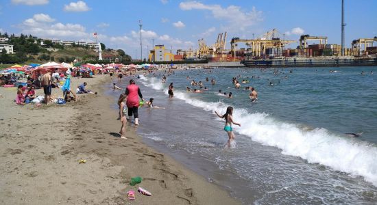 Guldal Container beach