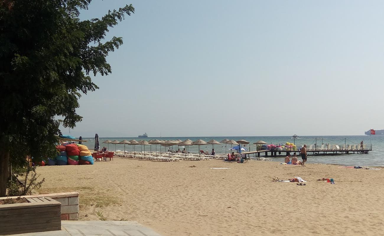 Sarkoy beach II'in fotoğrafı kahverengi kum yüzey ile