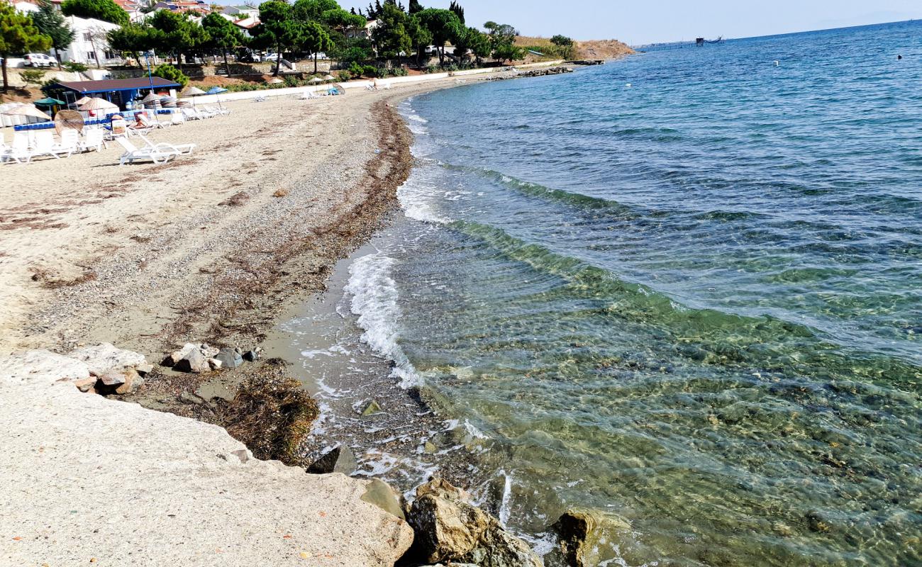 Senkoy beach'in fotoğrafı kahverengi kum yüzey ile