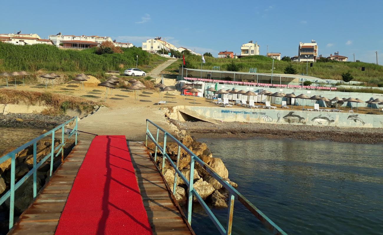Kızılcaterzi Plajı'in fotoğrafı gri çakıl taşı yüzey ile