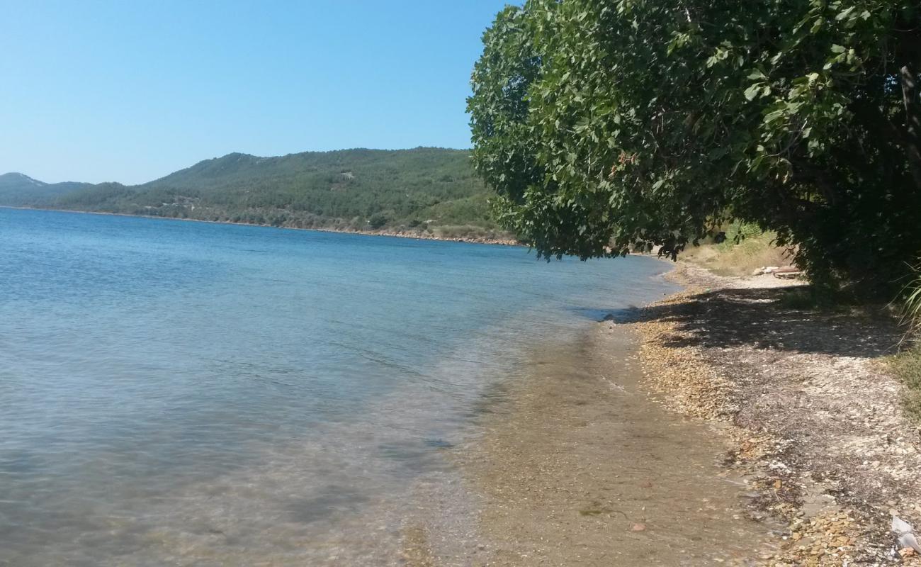 Pazarlı Plajı'in fotoğrafı siyah kum ve çakıl yüzey ile