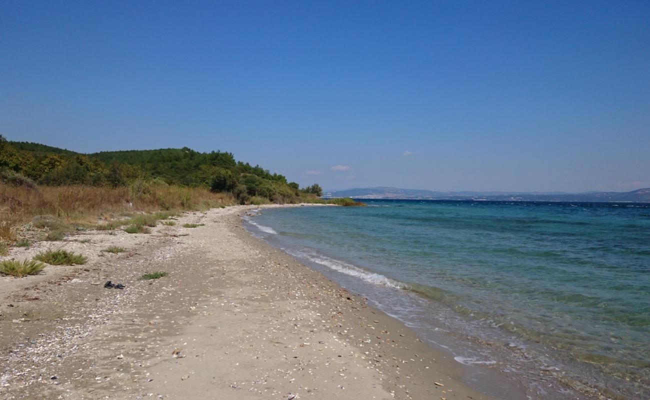 Alcıtepe Plajı'in fotoğrafı siyah kum ve çakıl yüzey ile