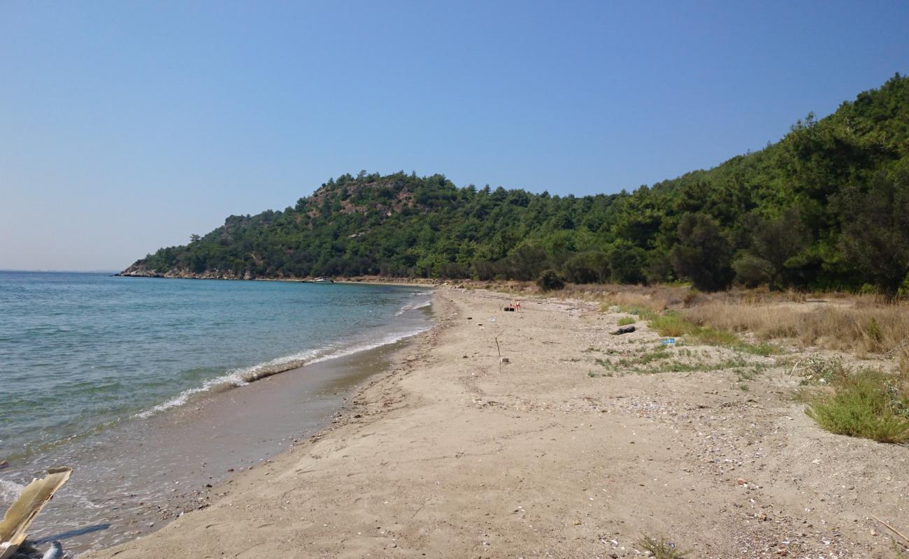 Alcıtepe Plajı II'in fotoğrafı kahverengi kum yüzey ile