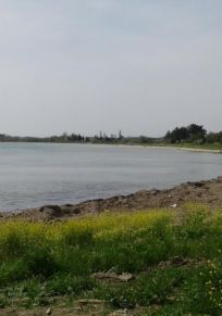 Seddulbahir