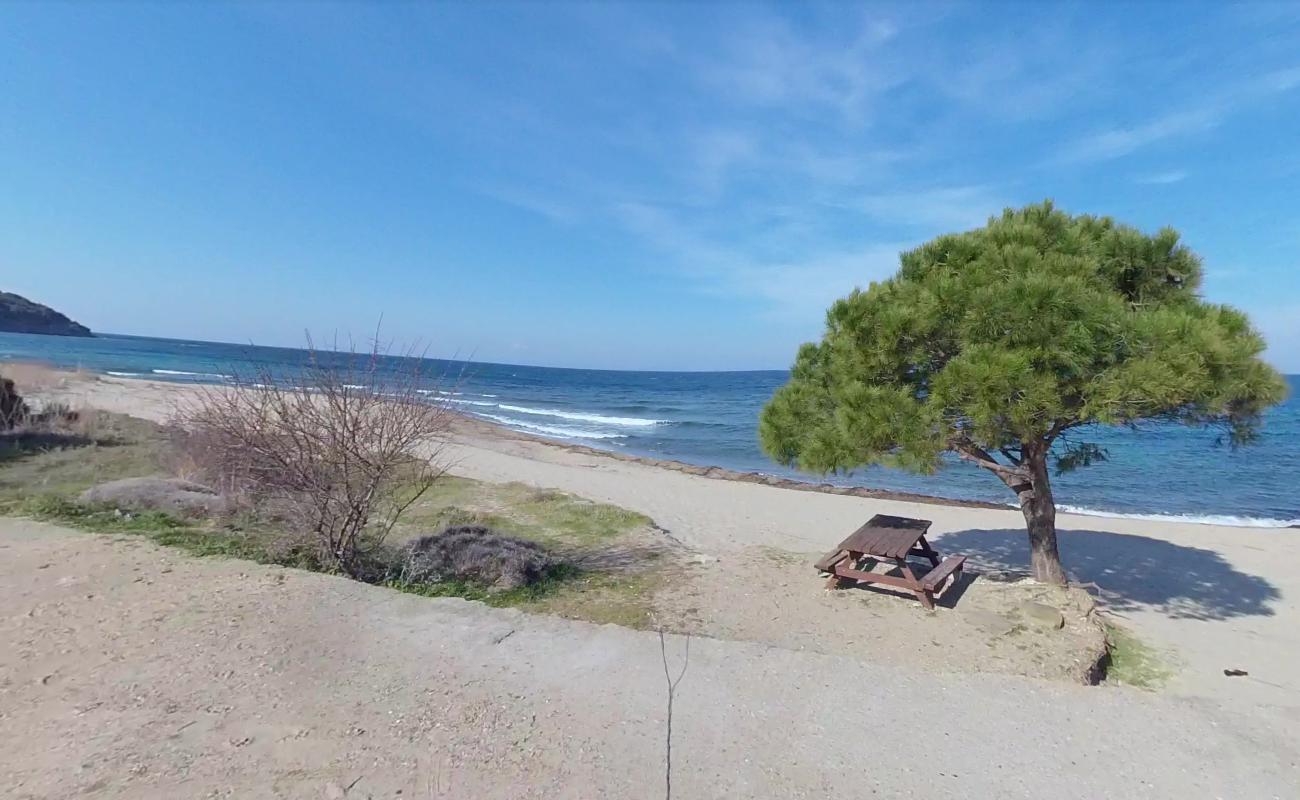 Kabatepe beach II'in fotoğrafı vahşi alan