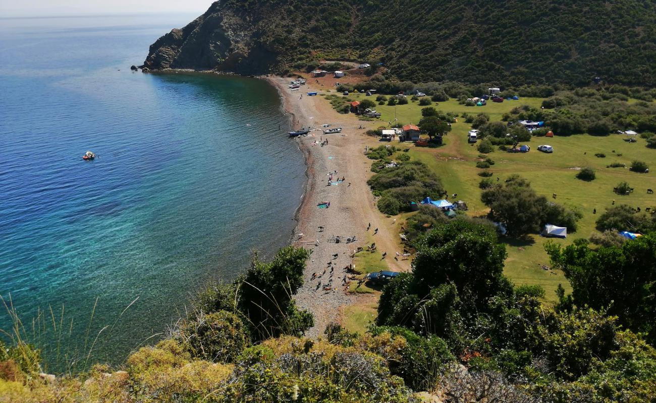 Karaagac Bay beach'in fotoğrafı hafif çakıl yüzey ile