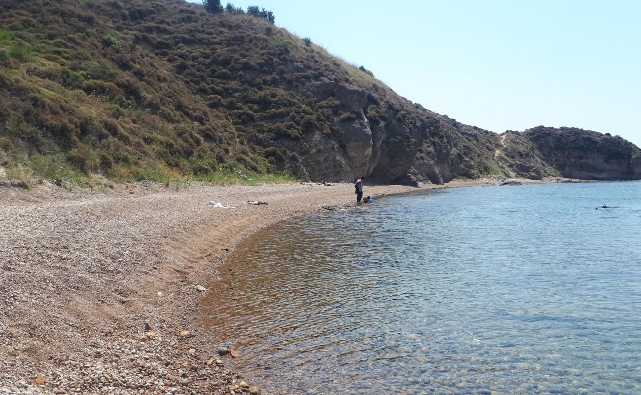 Misyon beach'in fotoğrafı koyu i̇nce çakıl yüzey ile