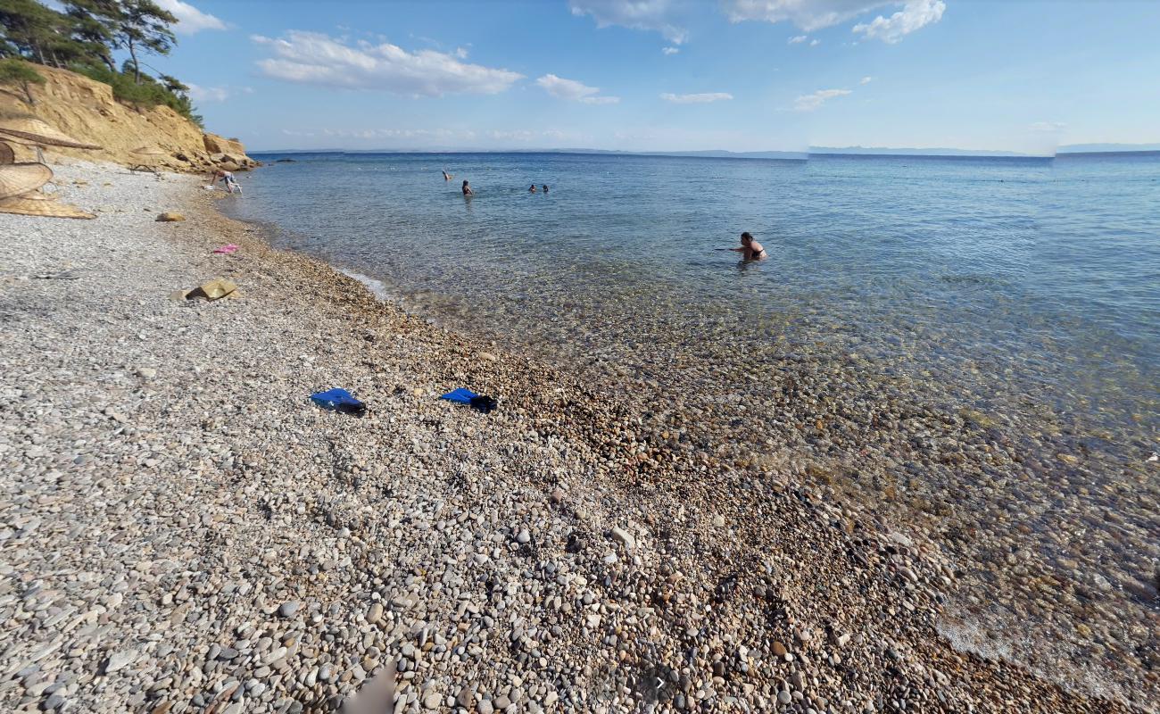 Sait faik beach III'in fotoğrafı - rahatlamayı sevenler arasında popüler bir yer