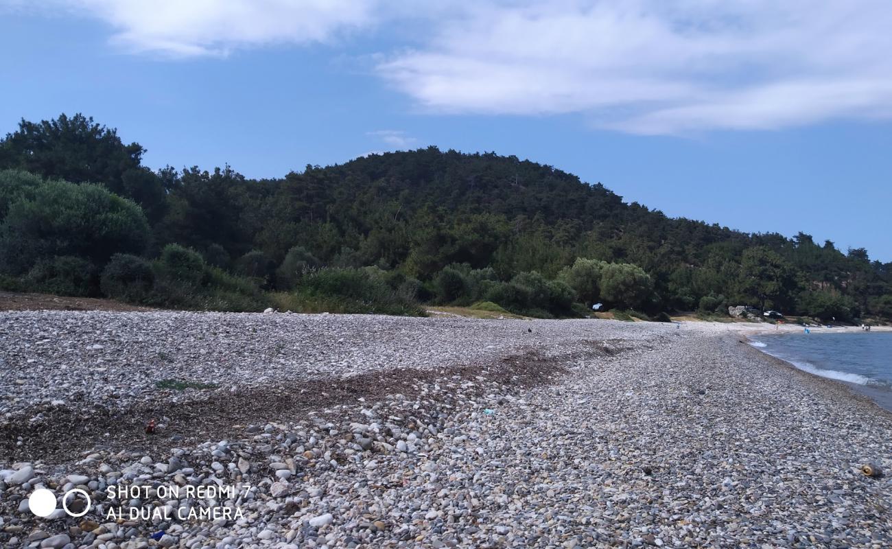 Sait faik beach II'in fotoğrafı hafif çakıl yüzey ile