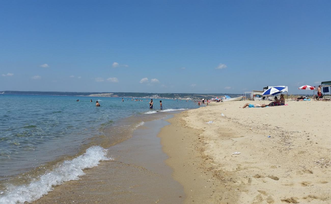 Mecidiye coast beach'in fotoğrafı parlak ince kum yüzey ile