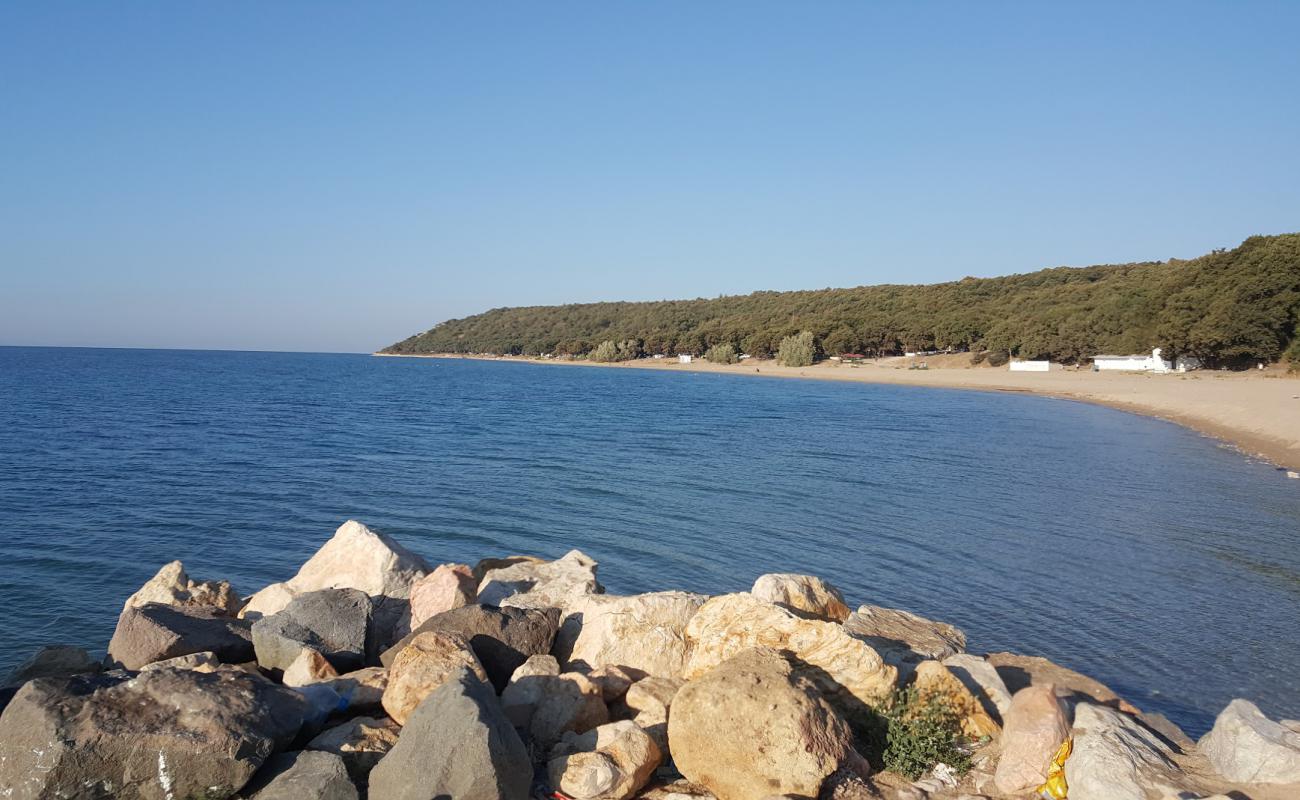 Erikli beach III'in fotoğrafı parlak ince kum yüzey ile