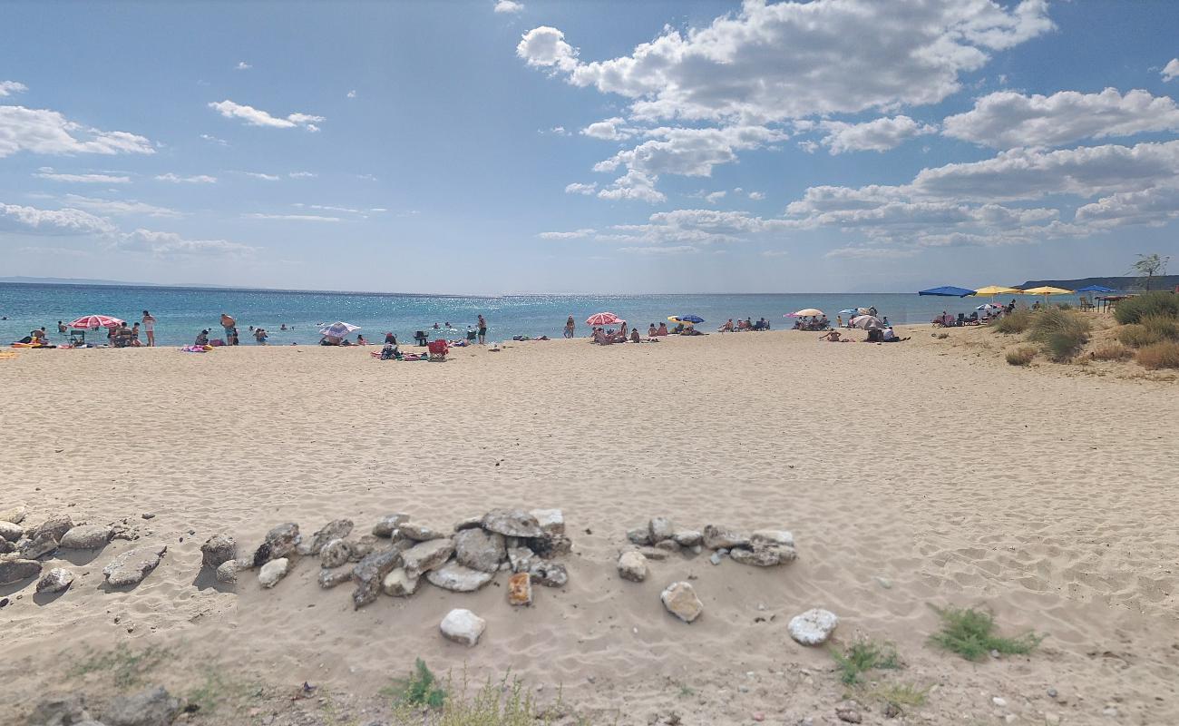 Altunhan beach II'in fotoğrafı imkanlar alanı