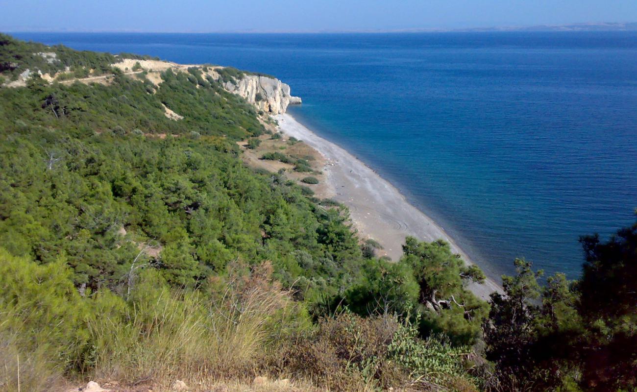 Altunhan beach IV'in fotoğrafı parlak kum yüzey ile