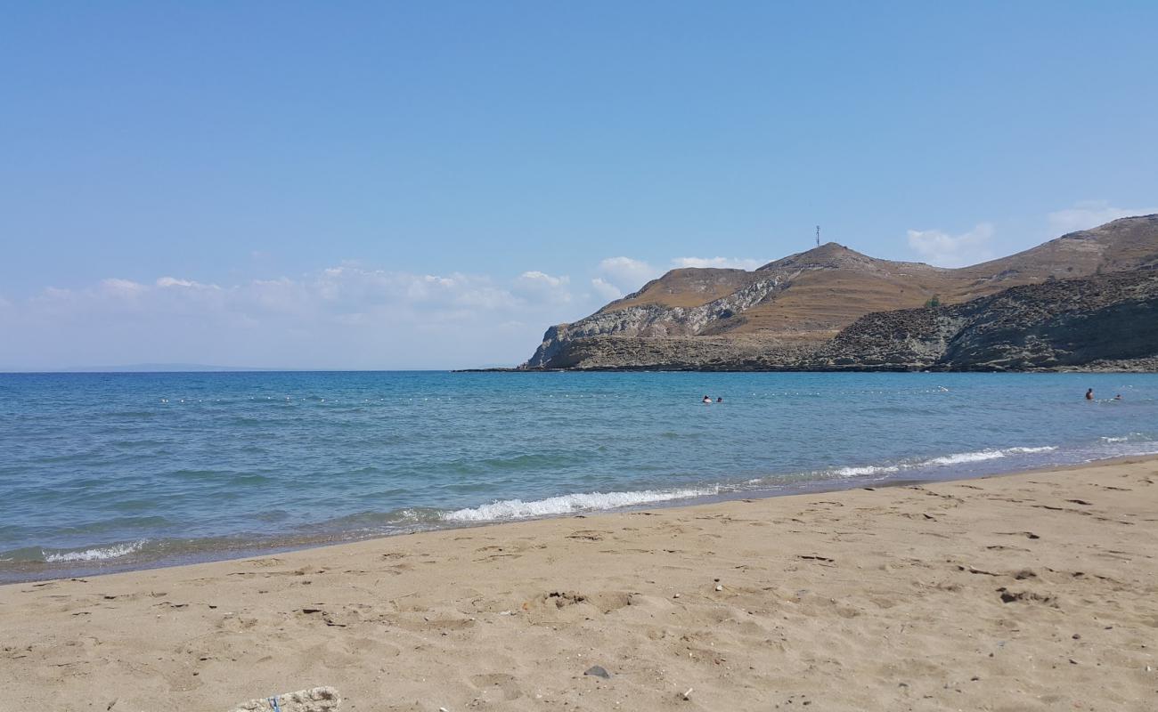 Kuzu limani beach'in fotoğrafı parlak kum yüzey ile