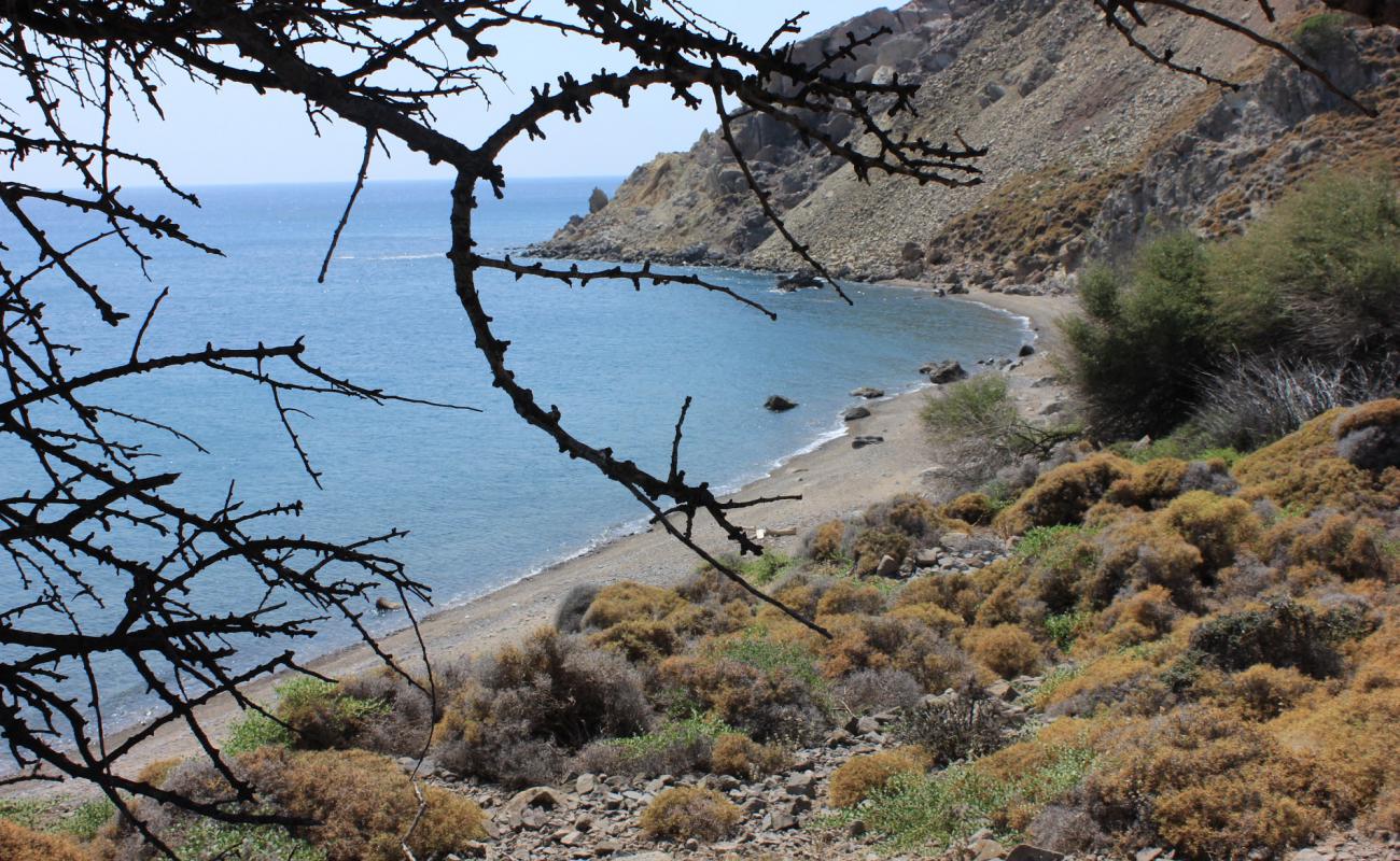 Zeytinliköy wild'in fotoğrafı gri çakıl taşı yüzey ile