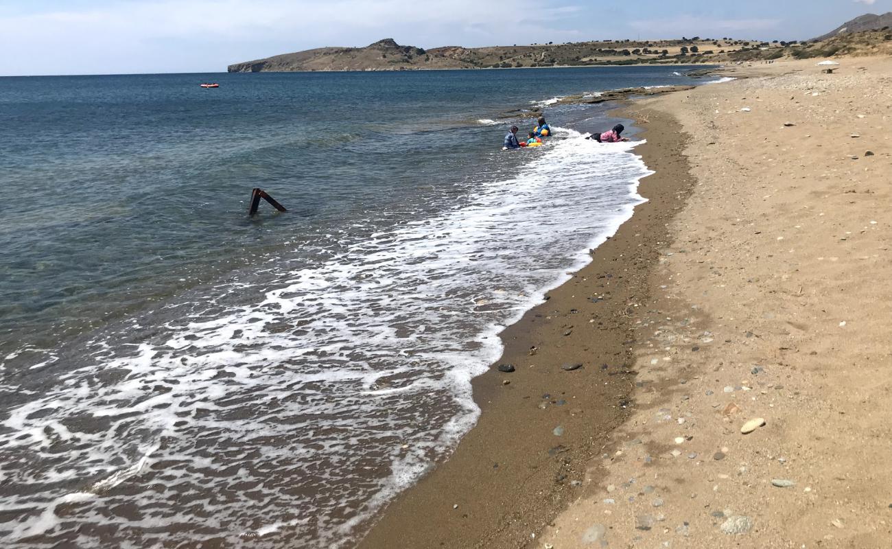 Kapıkaya Plajı'in fotoğrafı siyah kum ve çakıl yüzey ile