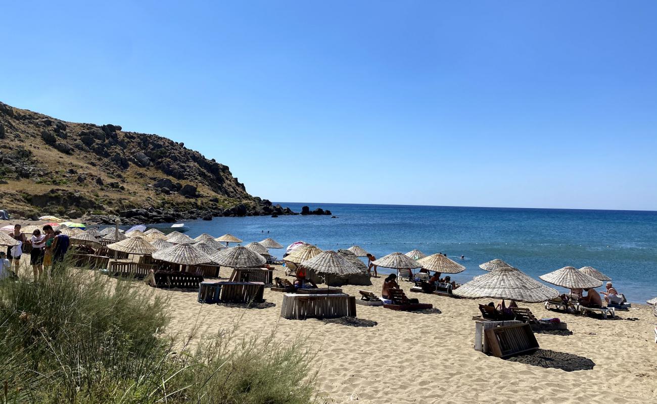 Laz Koyu beach'in fotoğrafı parlak kum yüzey ile