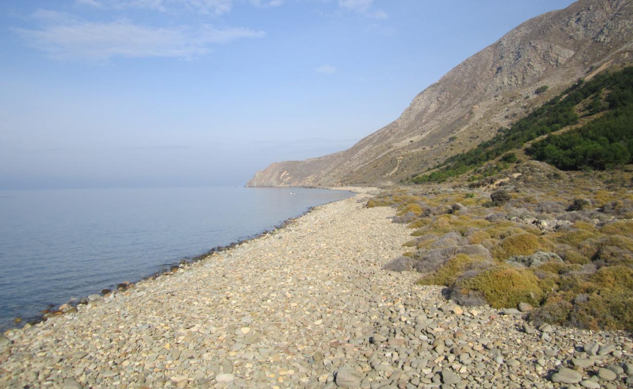 Dereköy wild'in fotoğrafı taşlar yüzey ile