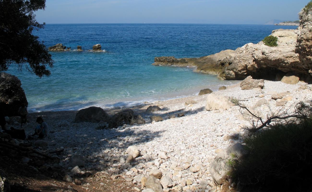 Kalabantia'in fotoğrafı beyaz çakıl taş yüzey ile