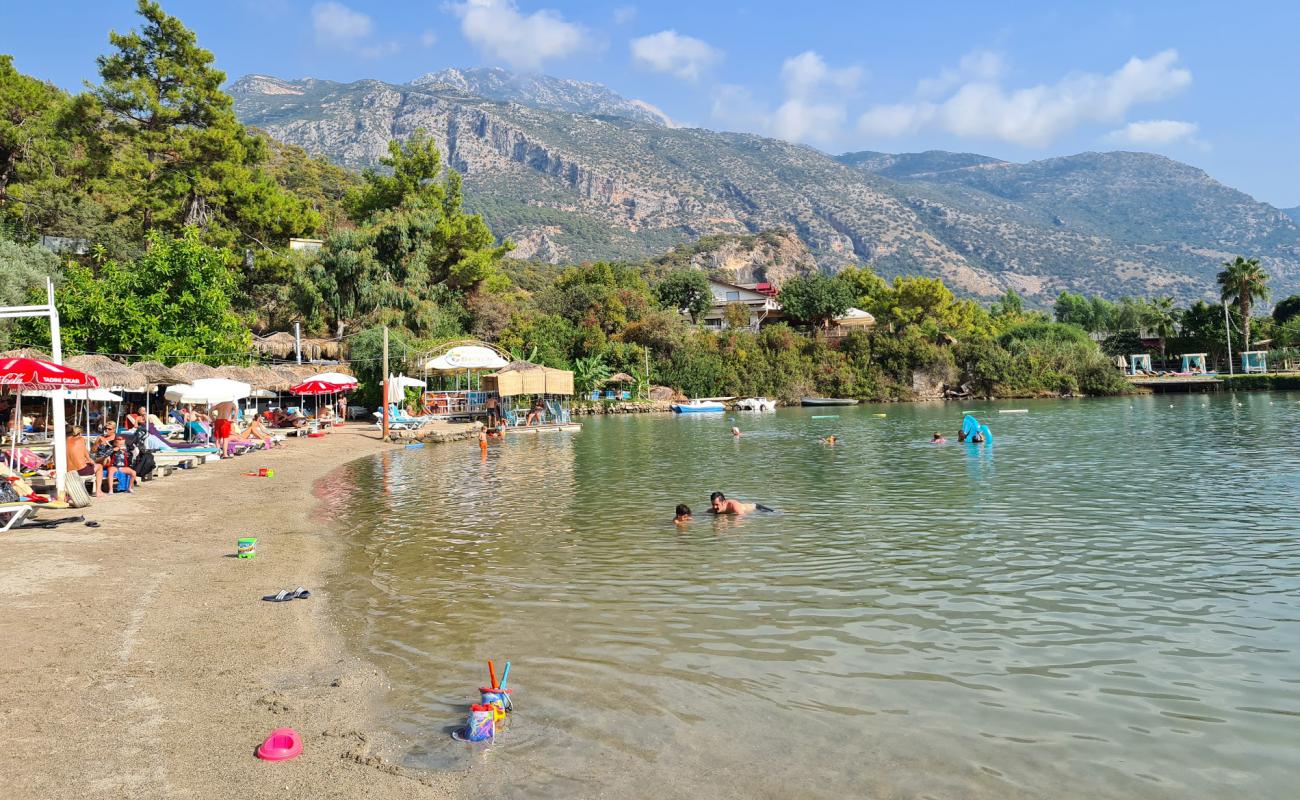 Billy Plajı'in fotoğrafı i̇nce kahverengi kum yüzey ile