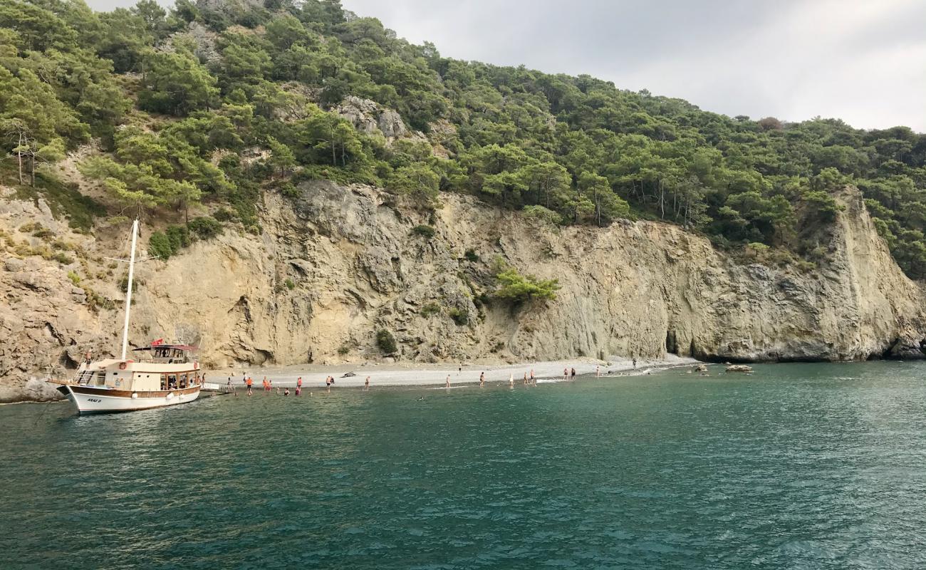 Camel beach'in fotoğrafı hafif çakıl yüzey ile