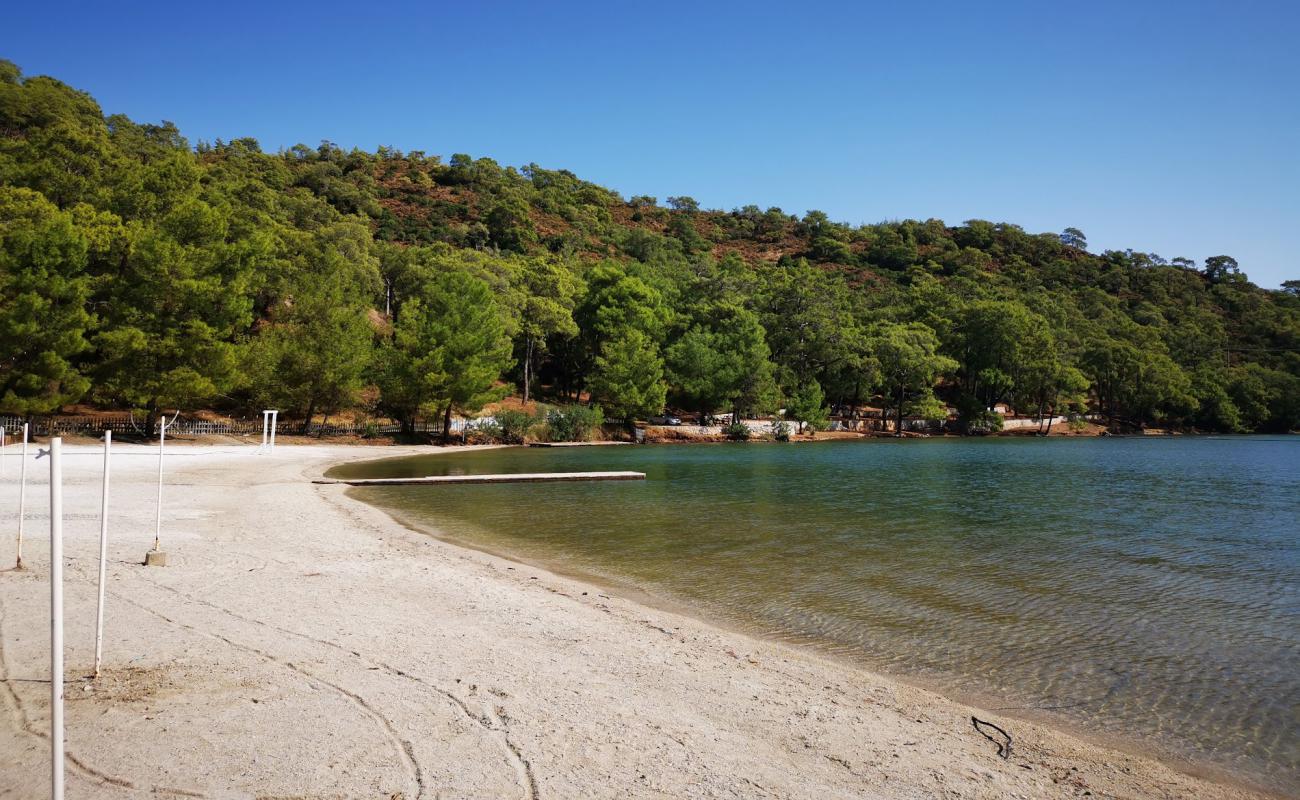 Bakrac beach'in fotoğrafı kahverengi kum yüzey ile