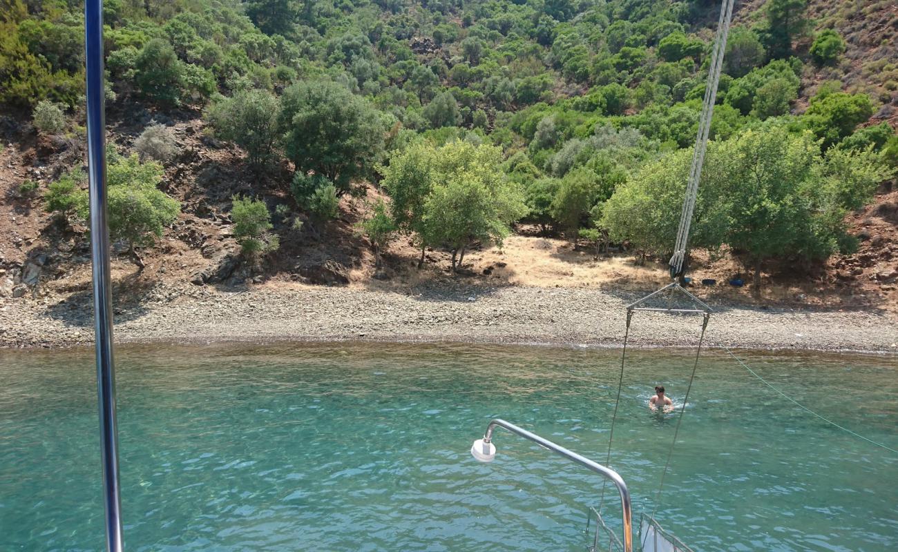 Daily beach II'in fotoğrafı bej çakıl yüzey ile