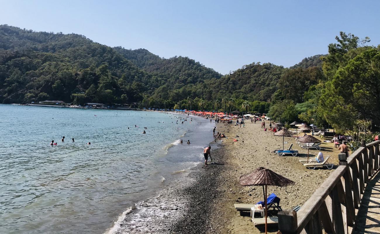 Daily beach'in fotoğrafı kahverengi kum yüzey ile