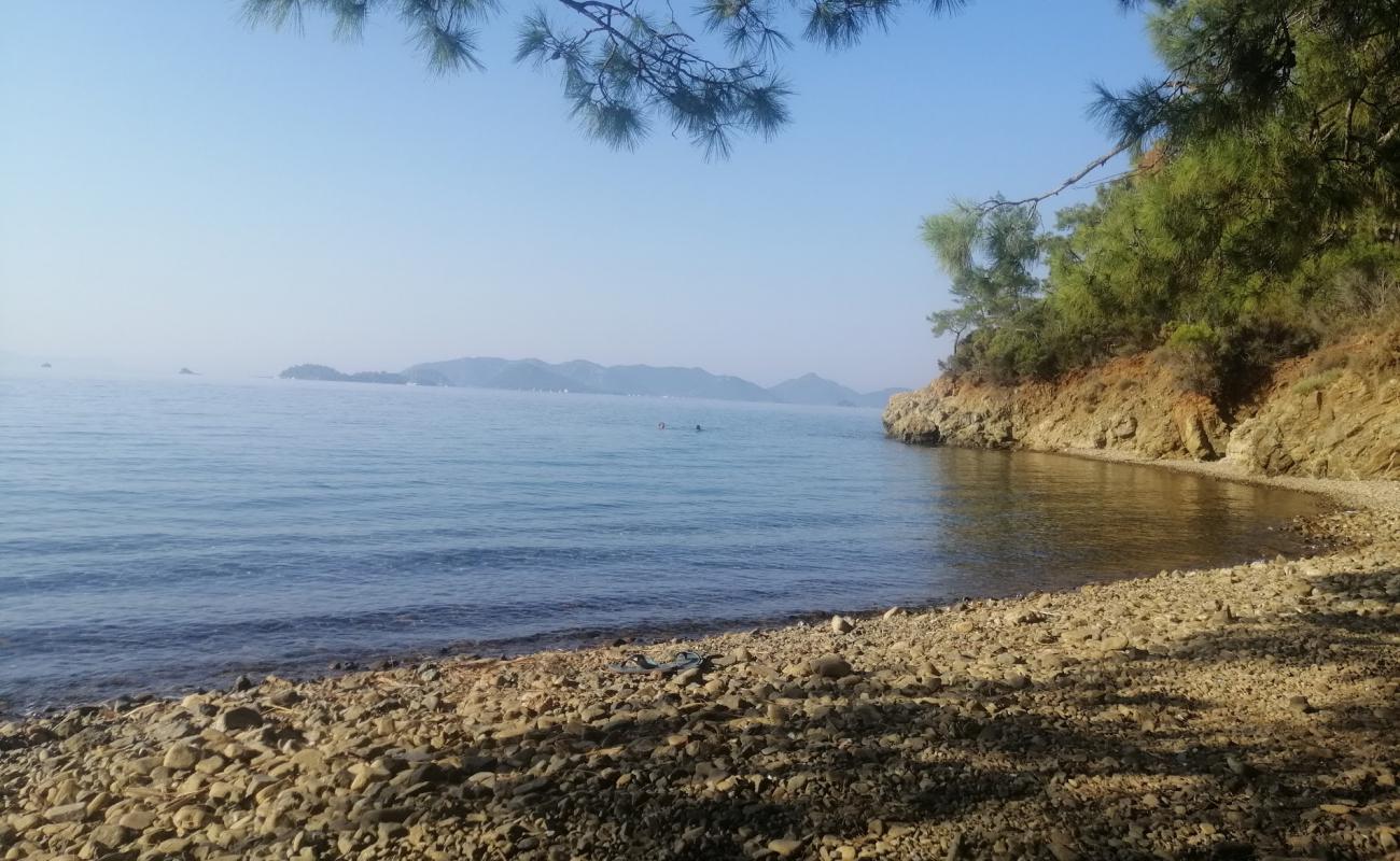 Canes Sahili'in fotoğrafı kahverengi çakıl yüzey ile