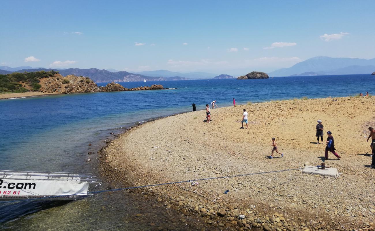 Emir Vargun'in fotoğrafı kahverengi çakıl yüzey ile