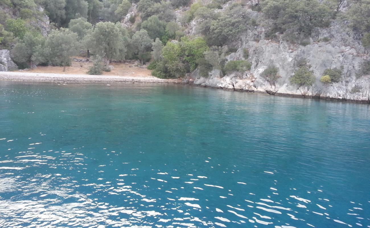 Bedri Rahmi Koyu II'in fotoğrafı hafif çakıl yüzey ile