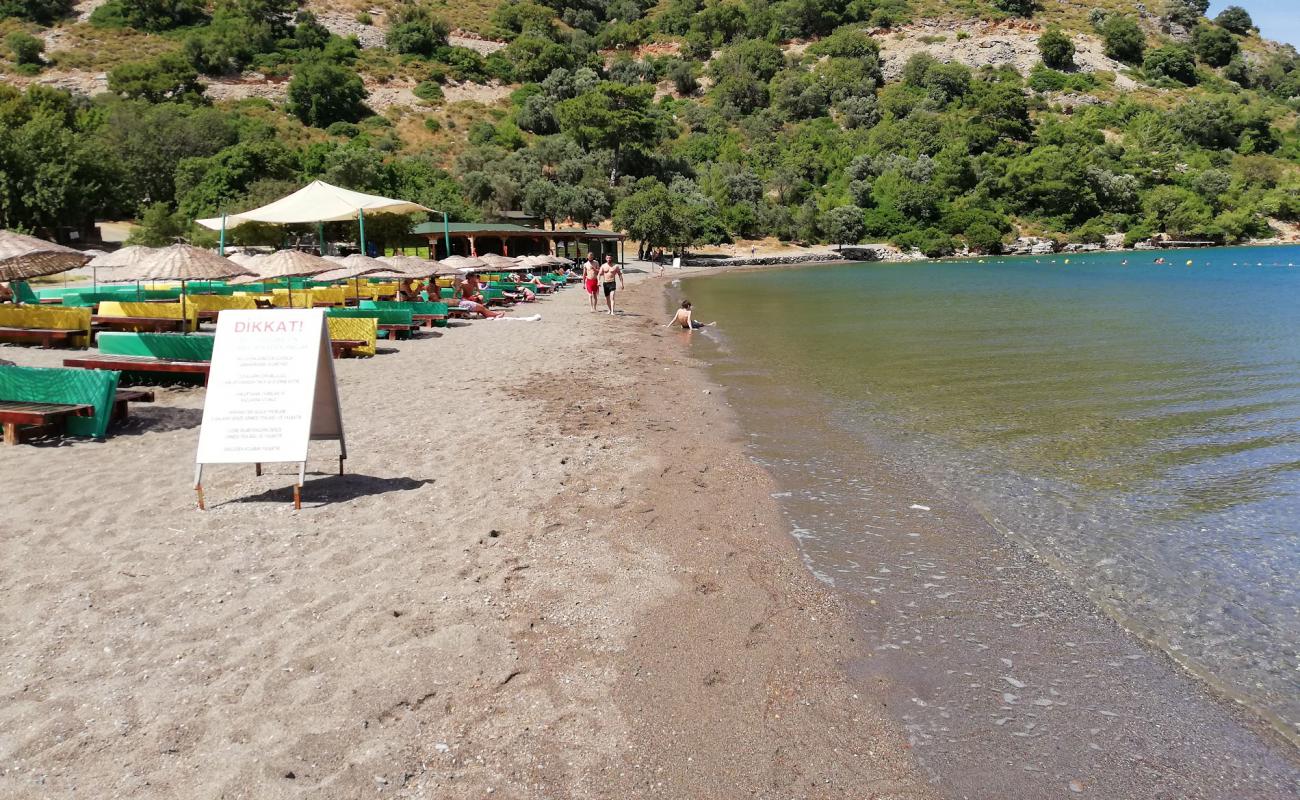 Sarsala Sahili'in fotoğrafı kahverengi kum yüzey ile