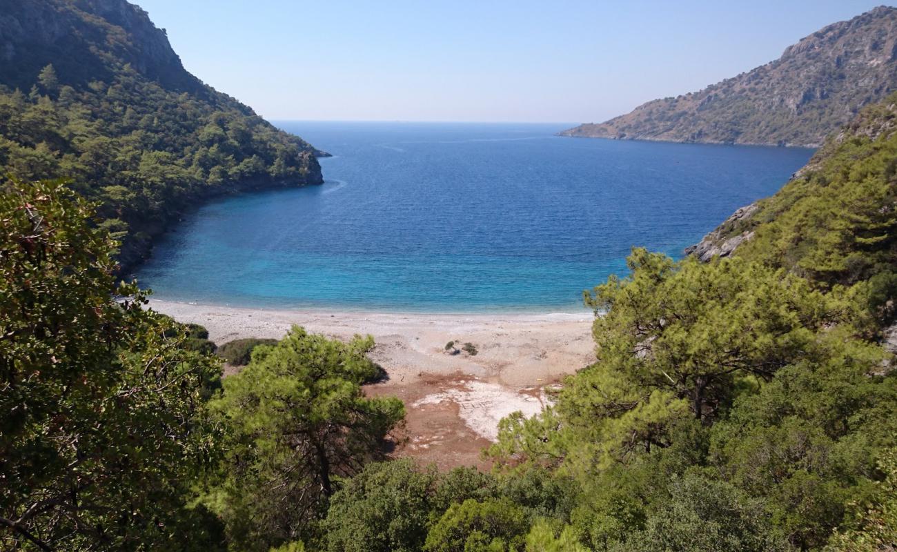 Cleopatra Cove V'in fotoğrafı küçük bej çakıl yüzey ile
