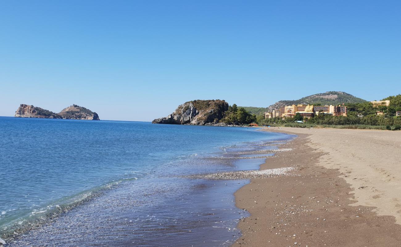 Sarıgerme Plajı'in fotoğrafı kahverengi kum yüzey ile