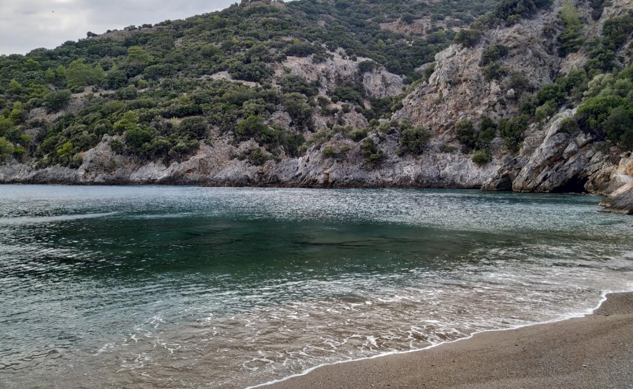 Vaccine Bay III'in fotoğrafı parlak kum yüzey ile