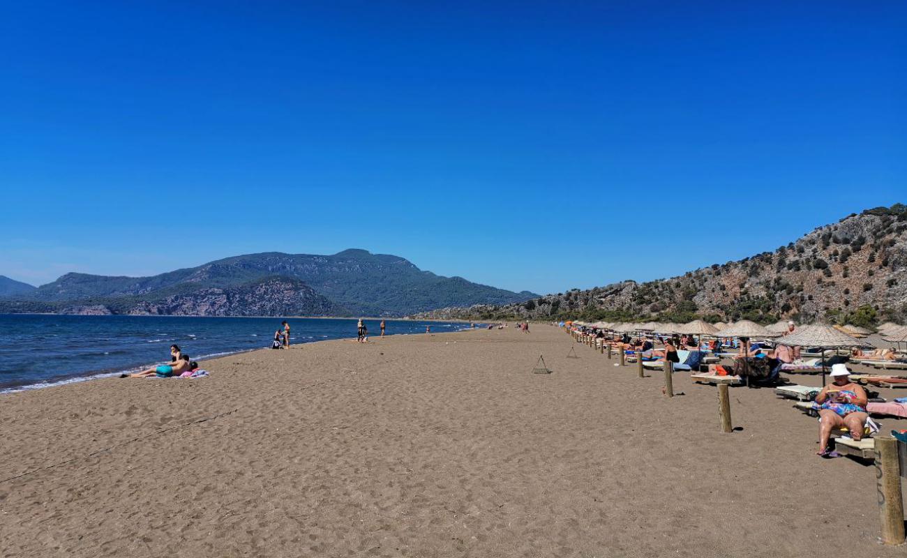Iztuzu Plajı'in fotoğrafı i̇nce kahverengi kum yüzey ile