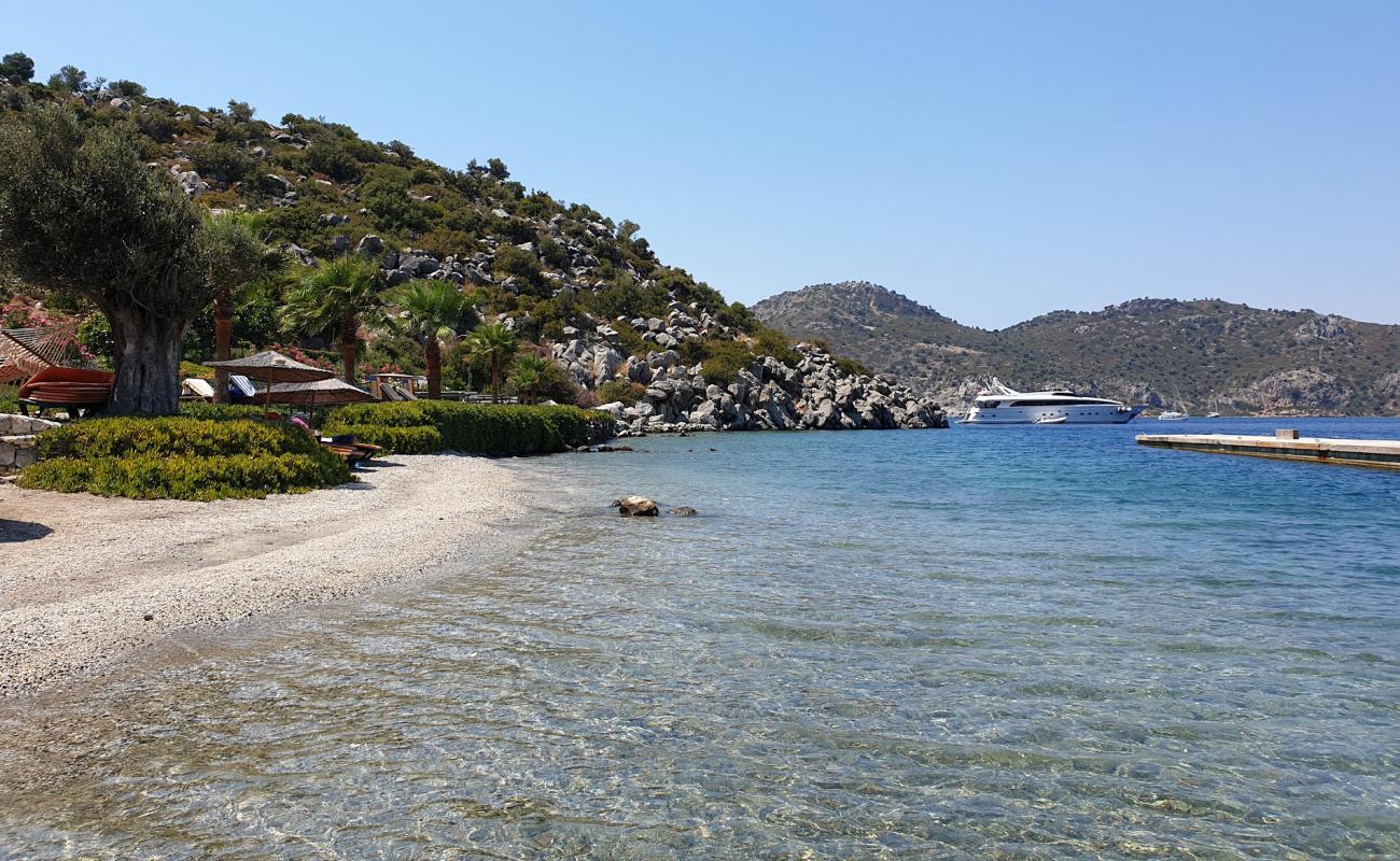 Kuzbuku beach'in fotoğrafı küçük bej çakıl yüzey ile