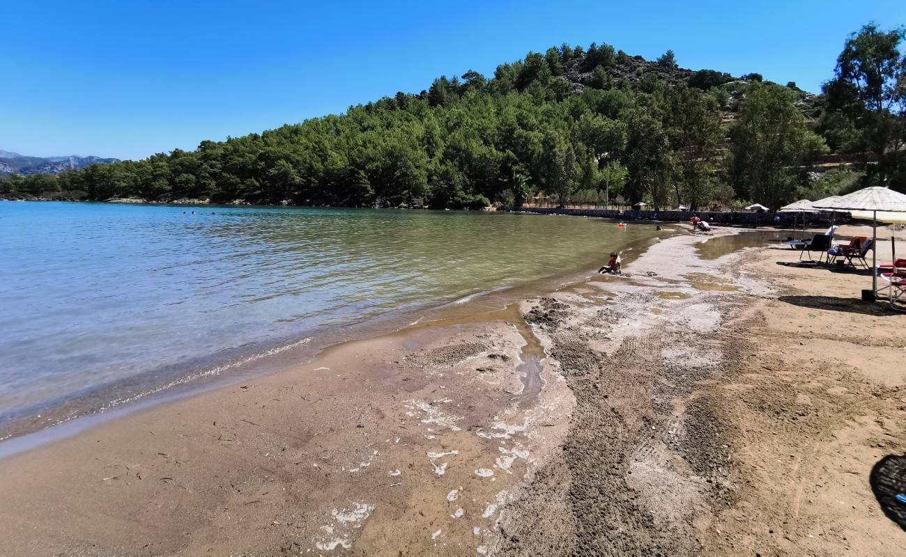 Akkum koyu'in fotoğrafı kahverengi kum yüzey ile