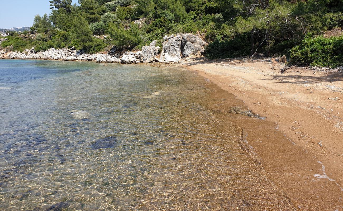 Huseyin Cem Salur'in fotoğrafı kahverengi kum yüzey ile