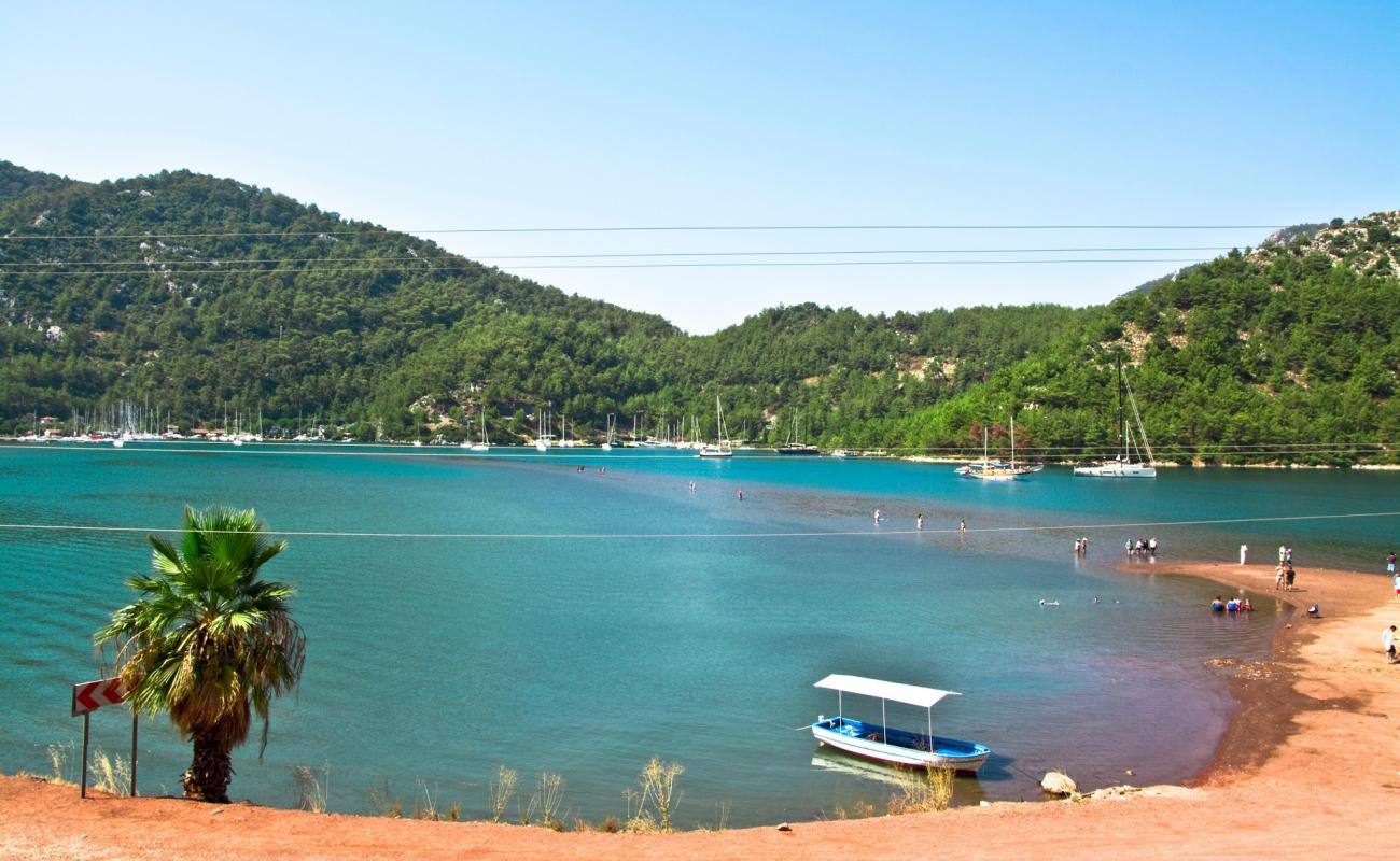 Kız Kumu Plajı'in fotoğrafı kahverengi kum yüzey ile