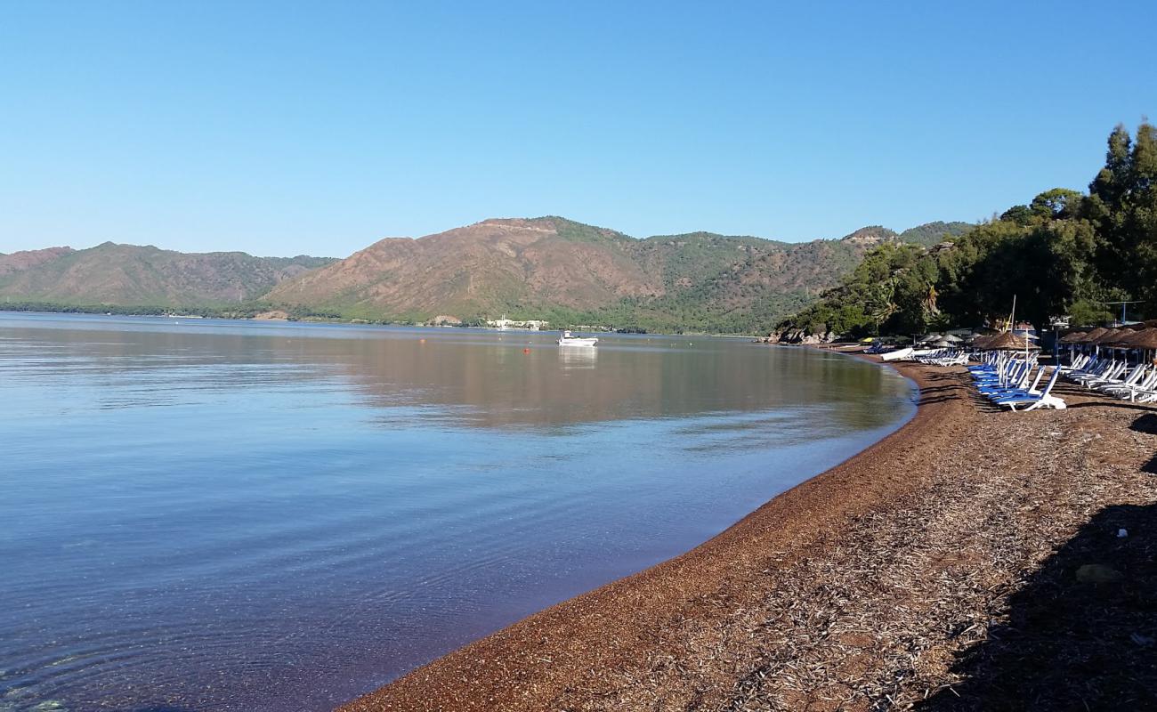 Erine beach Club'in fotoğrafı siyah kum ve çakıl yüzey ile