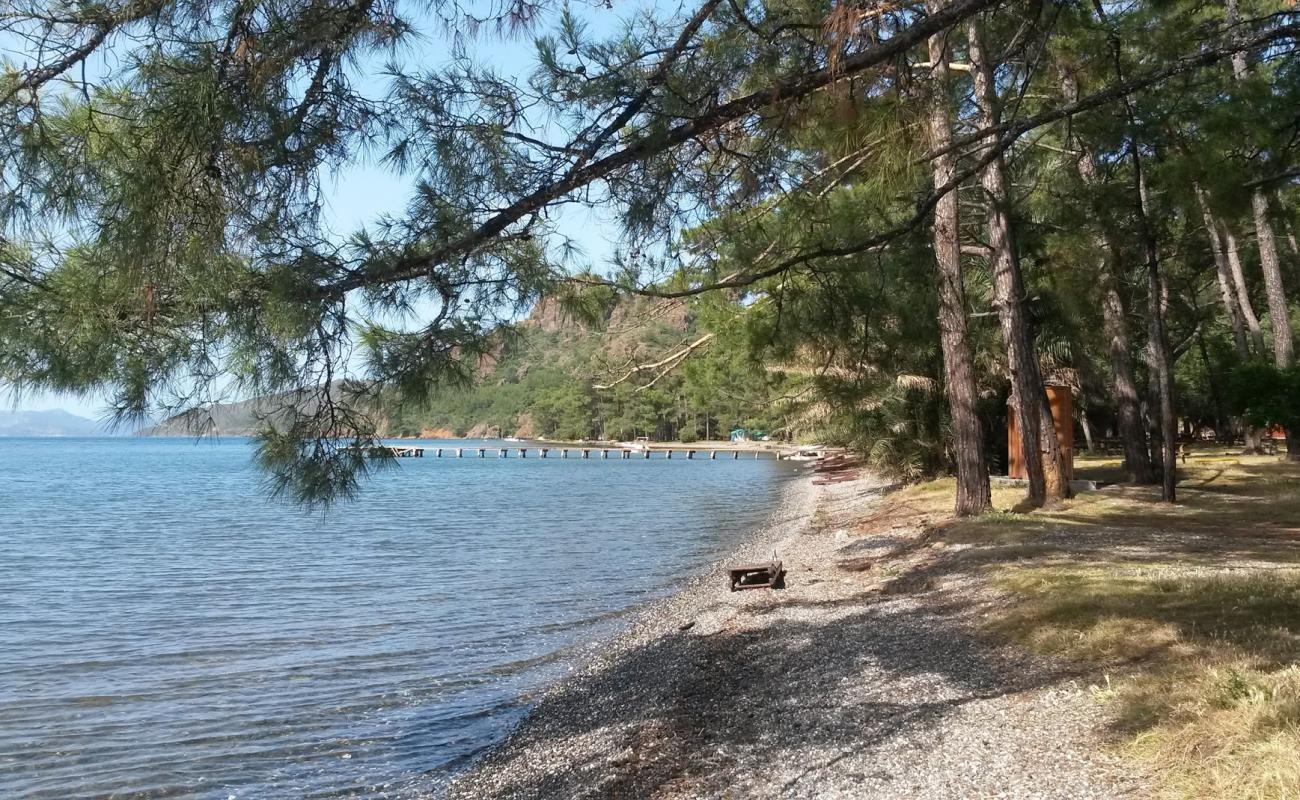 Çubucak Camp Plajı'in fotoğrafı kahverengi çakıl yüzey ile