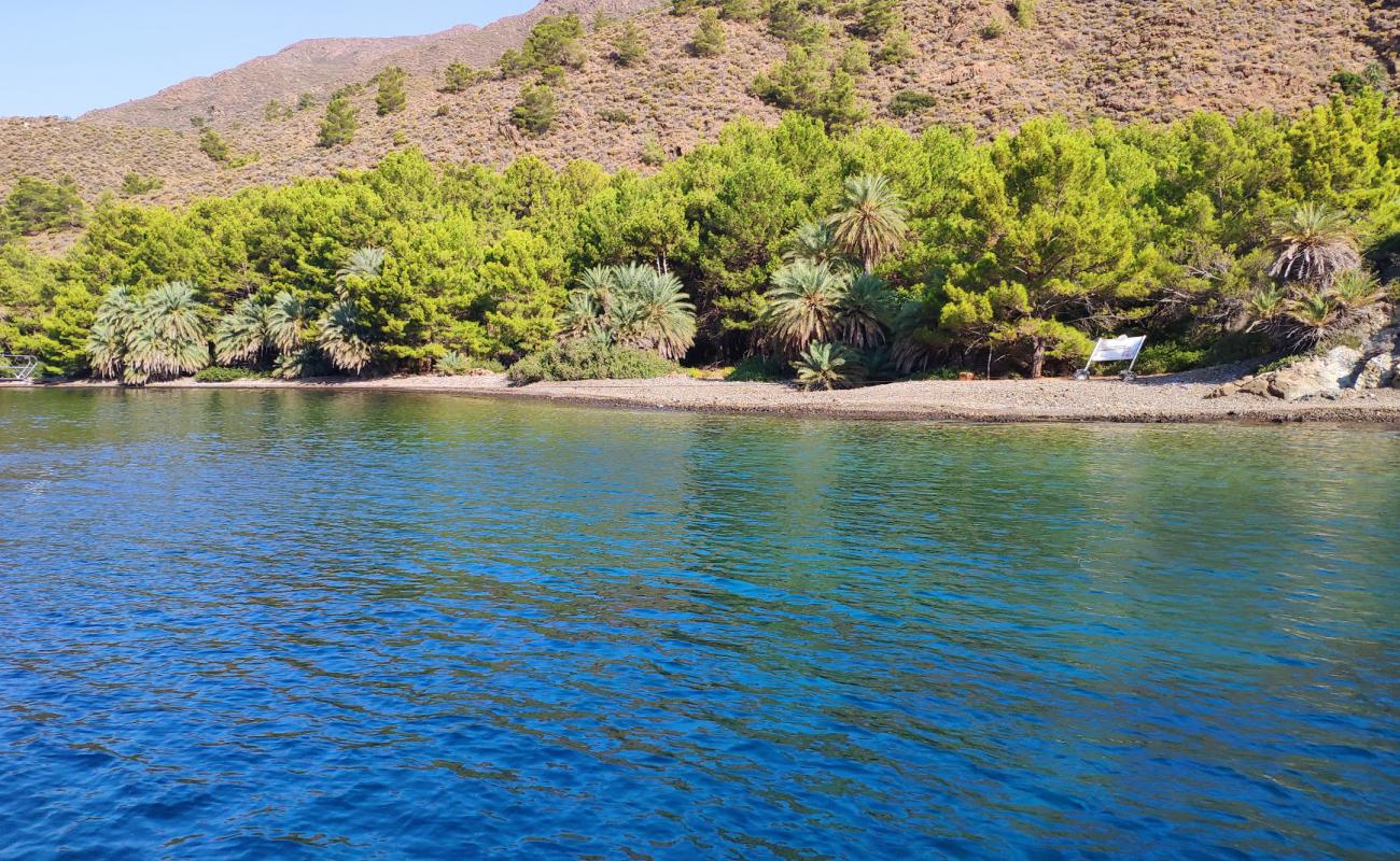 Hurmalı Plajı'in fotoğrafı gri kum ve çakıllar yüzey ile