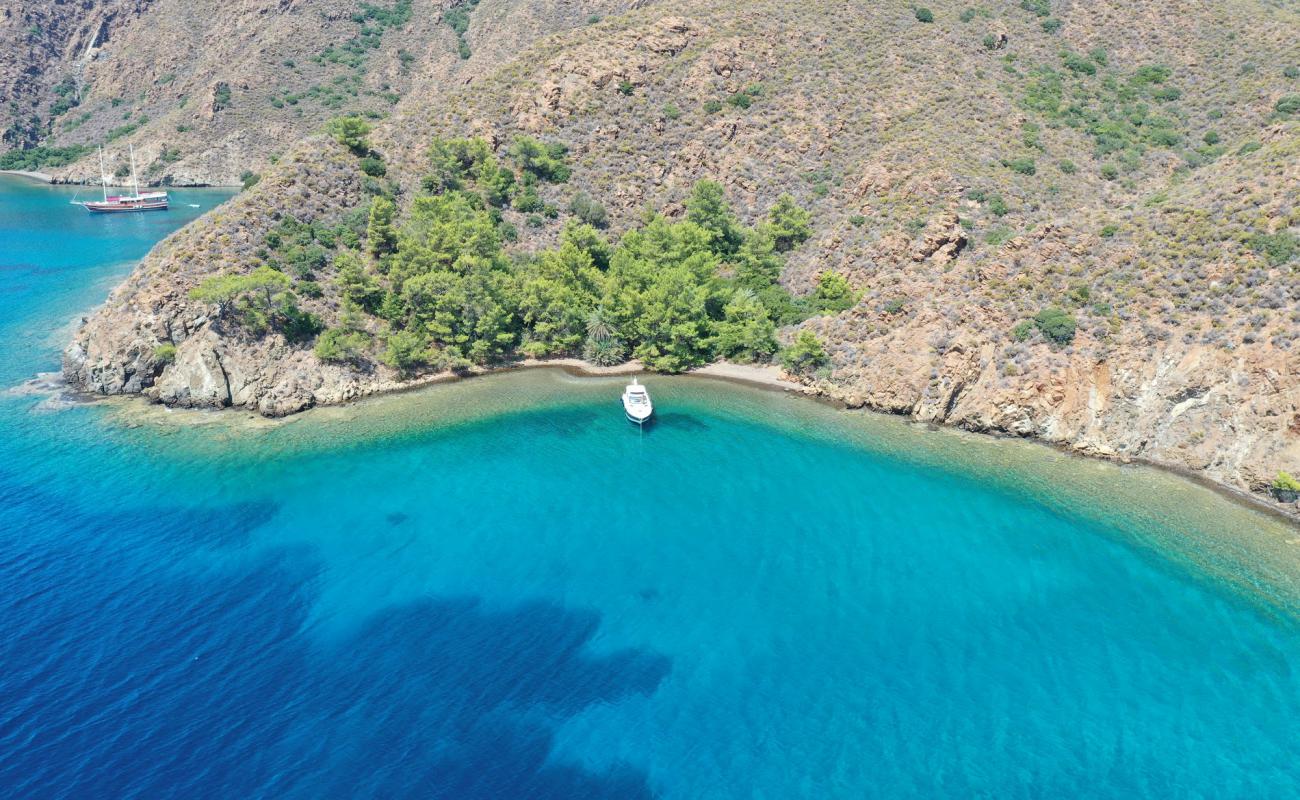 Karaali Bükü'in fotoğrafı gri kum ve çakıllar yüzey ile