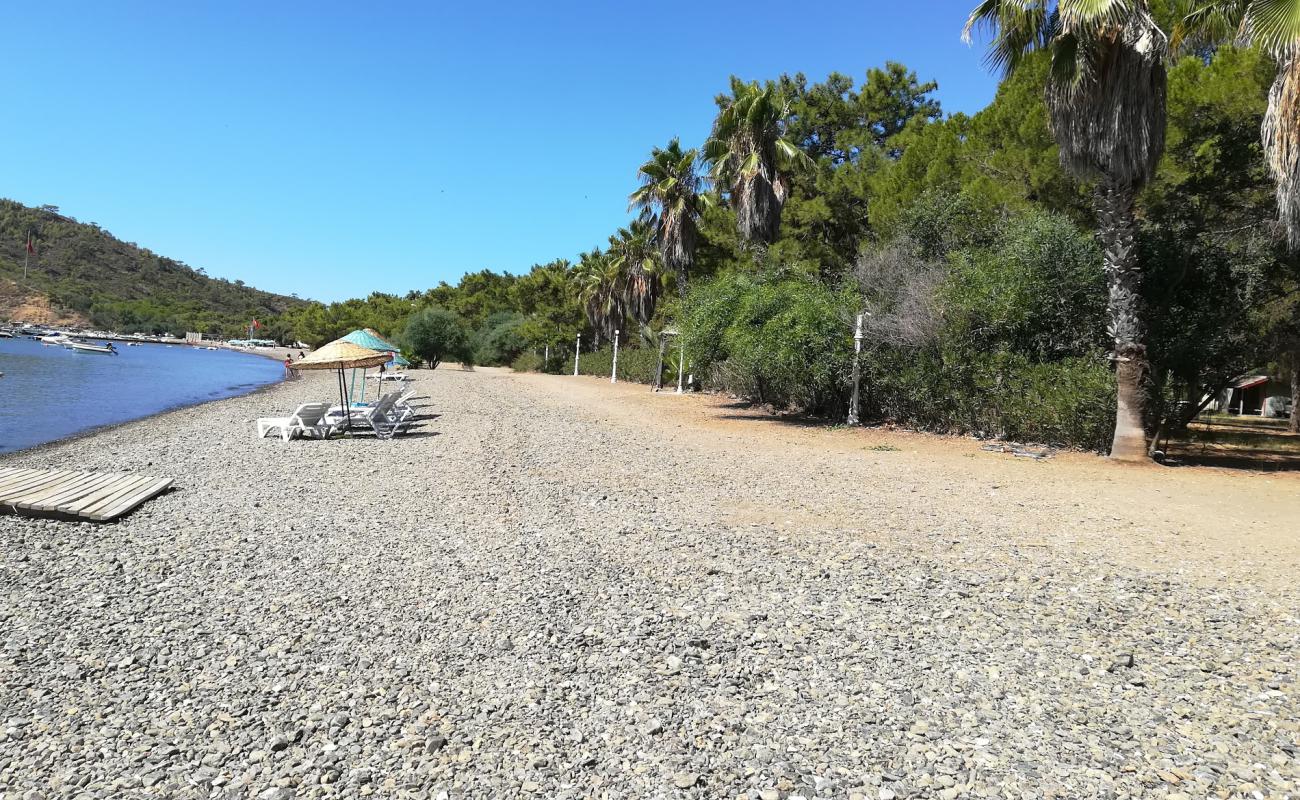 Aktur beach III'in fotoğrafı gri ince çakıl taş yüzey ile