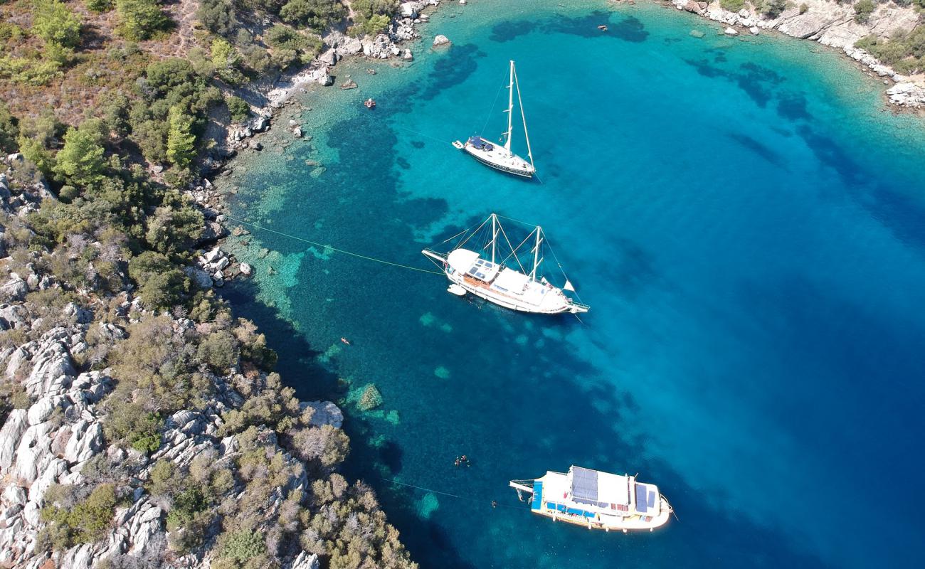 Akvaryum beach'in fotoğrafı taşlar yüzey ile